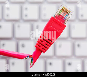Defective network cable on keyboard, symbolic photo for on-line, networks, disturbance and spying, Defektes Netzwerkkabel auf Tastatur, Symbolfoto fue Stock Photo