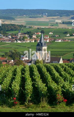 France, Marne, Ville Dommange, mountain of Reims, vineyards of ...