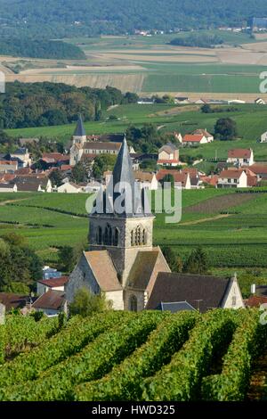 France, Marne, Ville Dommange, mountain of Reims, vineyards of ...