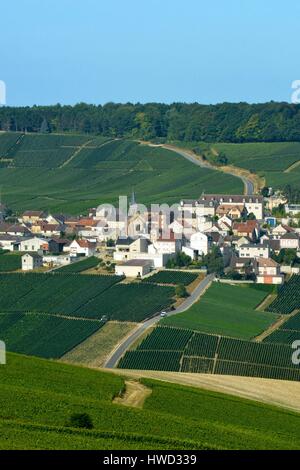 France, Marne, Cuis, Cote des Blancs, road in the middle of the vineyards of Champagne with the village of Monthelon in the background Stock Photo