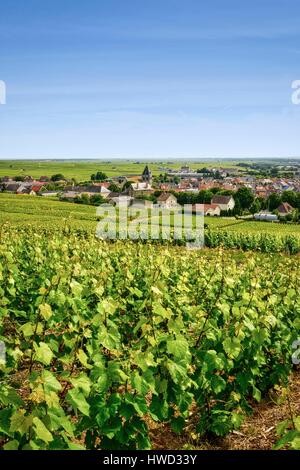 France, Marne, Vertus, Cote des Blancs, village in the middle of ...