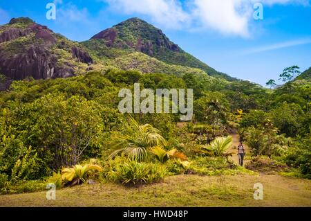 Seychelles, Mahe island, the Morne Seychellois National Park, hiking in the Mare aux Cochons Stock Photo