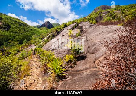 Seychelles, Mahe island, the Morne Seychellois National Park, hike to Anse Major Stock Photo