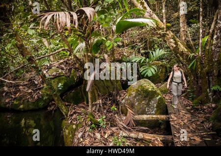 Seychelles, Mahe island, the Morne Seychellois National Park, hiking Copolia, gateway in the undergrowth of the rainforest dotted with granite blocks Stock Photo