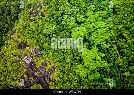 Seychelles, Mahe island, the rainforest and granite cliffs of the Morne Seychellois National Park (aerial view) Stock Photo