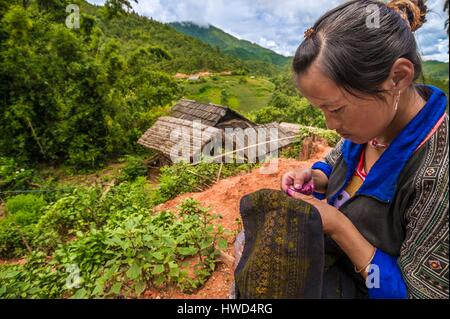 Vietnam, mountain range of Hoang Lien Son, village of Nam Trang, Mu Cang Chai region, Yen Bai province, green H'mong peasant embroidering a traditional dress dyed with natural indigo which one sees the plants at her feet Stock Photo