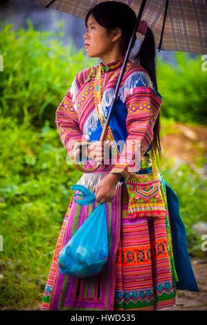 Vietnam, High Tonkin, province of Lao Cai, Ban Pho village, red H'mong peasant and her umbrella Stock Photo