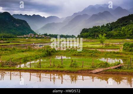 Vietnam, Mai Chau province, white Thaï (Thai Dam) working in the rice fields of the Mai Chau Valley, Mai Chau ecolodge in the background resembling a traditional Thai village Stock Photo