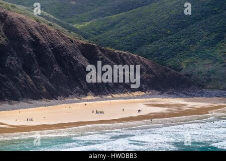 Portugal, Algarve region, Southwest Alentejo and Vicentine Coast Natural Park, Arrifana beach Stock Photo