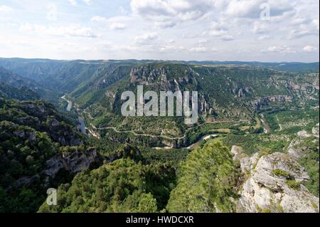 France, Lozere, the Causses and the Cevennes, Mediterranean agro pastoral cultural landscape, listed as World Heritage by UNESCO, the Gorges du Tarn, the St Chely circus Stock Photo