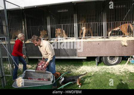 Lion tamer at Circus Renz Stock Photo