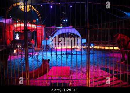 Lion tamer at Circus Renz Stock Photo