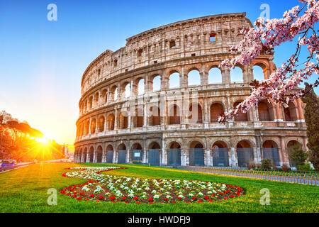 Colosseum at sunrise Stock Photo