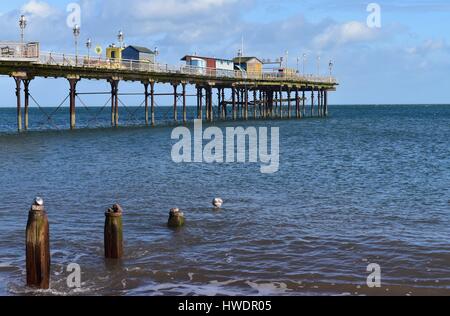 A wide shot of Teignmouth pier, Devon. The pier is sunlit in a calm sea. A young seagull stands on a submerged post in the foreground. Stock Photo