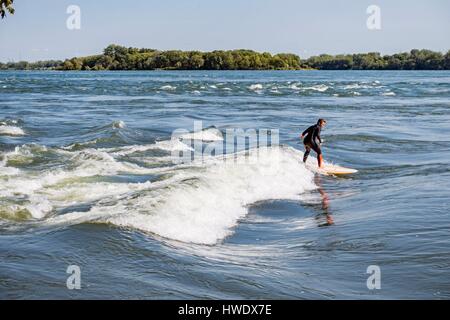 paddle board lasalle