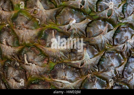 Scaly peel  pineapple, rough outside delicious sweet inside macro Stock Photo