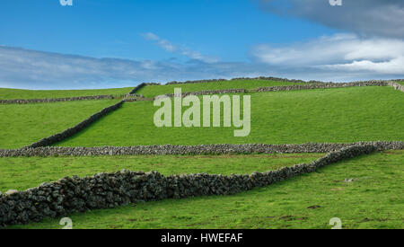 Farm fields hill in the Terceira island in Azores Stock Photo
