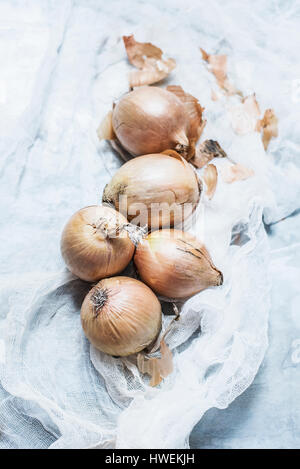 Studio shot, overhead view of onions on muslin Stock Photo