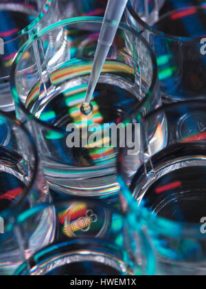 Genetic Research, A human sample being pipetted into a multi well plate for genetic analysis sitting on DNA sequence Stock Photo