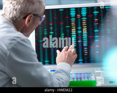 DNA Research, Scientist comparing DNA results on a computer screen in the laboratory Stock Photo