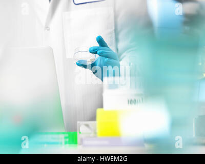 Clinical Trial, doctor preparing medicine for a medical trial Stock Photo