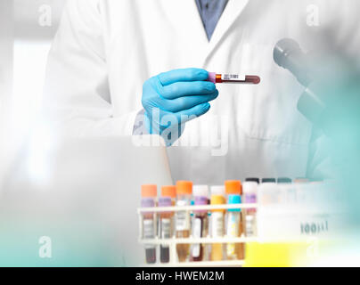 Scientist checking blood sample information ready for clinical testing in a laboratory Stock Photo