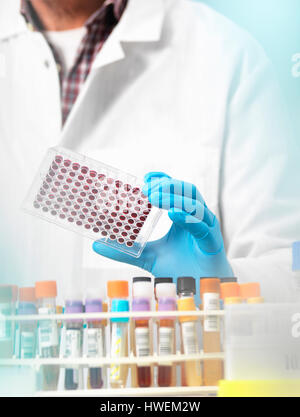 Scientist preparing blood samples in a multi well plate for clinical testing in a laboratory Stock Photo