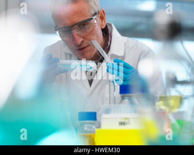 Biotechnology Research, scientist viewing samples in a multi well plate during an experiment in the laboratory Stock Photo