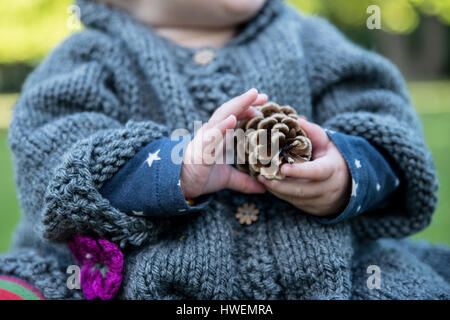 Mid section of baby girl holding pine cone in park Stock Photo