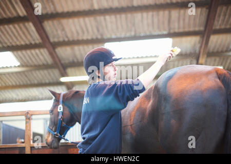 Young woman brushing horse with horse brush Stock Photo