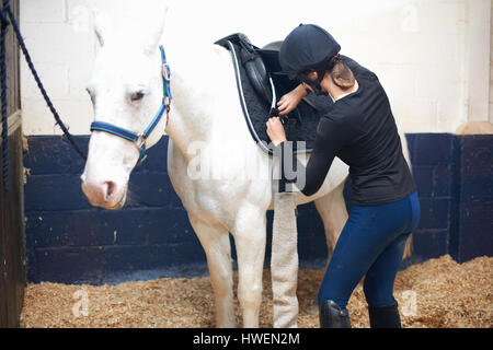 Young woman putting saddle on horse Stock Photo