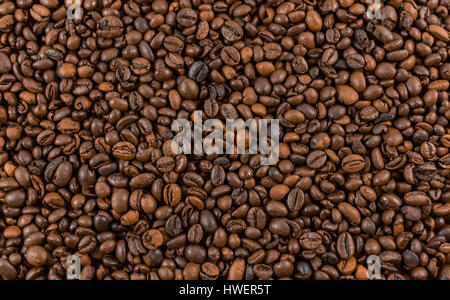 Coffee beans Stock Photo