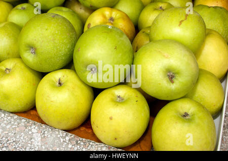 A bunch of yellow and green apples on the table in the market, Novi Sad, Serbia Stock Photo
