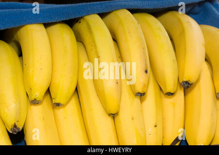 Fresh bananas covered by a blue blanket, Novi Sad, Serbia Stock Photo