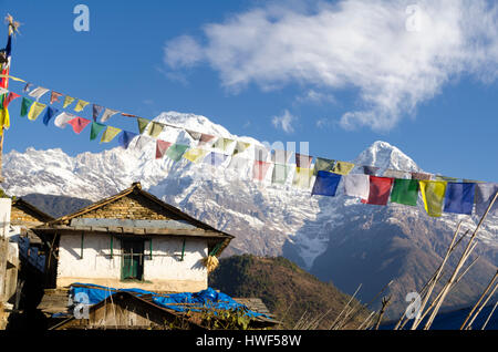 Photos from travelling around beautiful Ghandruk Village of Nepal near Pokhara.  This village is a traditional Gurung village. Stock Photo