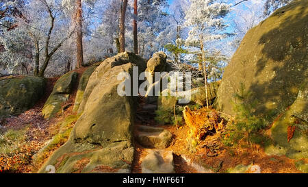 Wanderweg im Elbsandsteingebirge - Hiking trail in the Elbe sandstone mountains in fall Stock Photo