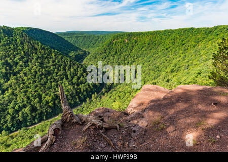 View of Pine Creek Gorge popularly known as Pennsylvania's Grand Canyon from Barbour Rock, Colton Point State Park, Tioga Co., PA Stock Photo