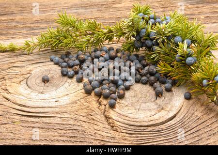 Juniper berries on vintage wooden background Stock Photo