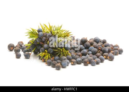 Juniper berries isolated on white Stock Photo