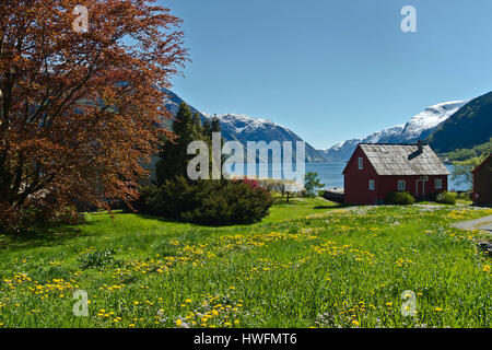 Landscape in Spring at the western side of Sörfjorden, (Odda, Hordaland, Norway), close to Belgen. We are facing south into the fjord. Photo from May  Stock Photo