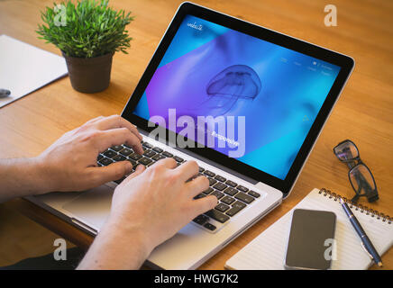 responsive design concept. Close-up top view of a coolhunter working on laptop. all screen graphics are made up. Stock Photo