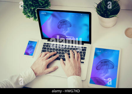 business, technology and responsive design concept: hands writing on a laptop with phone and tablet cool website screen Stock Photo