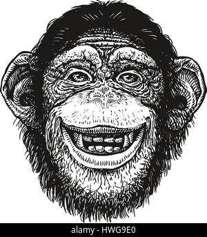 Hand drawn portrait of chimpanzee. Funny monkey, neanderthal man. Sketch vector illustration Stock Vector