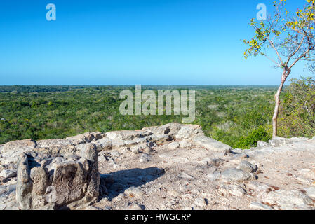 View from the top of the Nohoch Mul pyramid in the Mayan ruins of Coba, Mexico Stock Photo