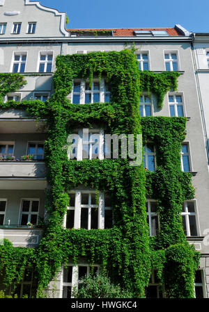 Altbau, Fassadenbegruenung, Rosenheimer Strasse, Schoeneberg, Berlin, Deutschland Stock Photo