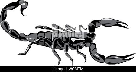 Abstract vector illustration of scorpion on white bacground Stock Vector