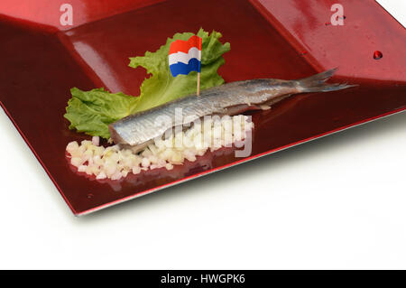Herring on plate with chopped onions and Dutch flags Stock Photo