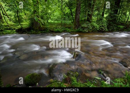 France, Haute Saone, Ballon de Servance mountain, Plancher les Mines, forest, river Le Rahin Stock Photo