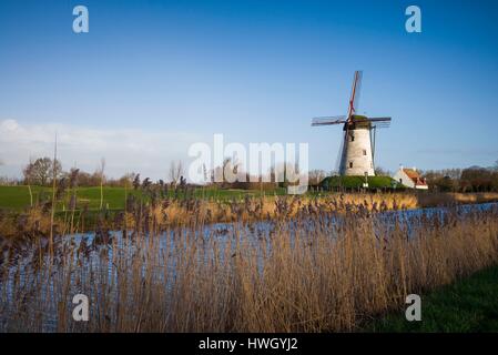 Belgium, Bruges-area, Damme, old wind mill Stock Photo