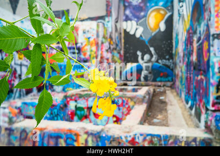 Hope Outdoor Gallery in Austin, Texas, USA. It acts as an open canvas for graffiti artists and became one of Austin's top tourist destinations. Stock Photo